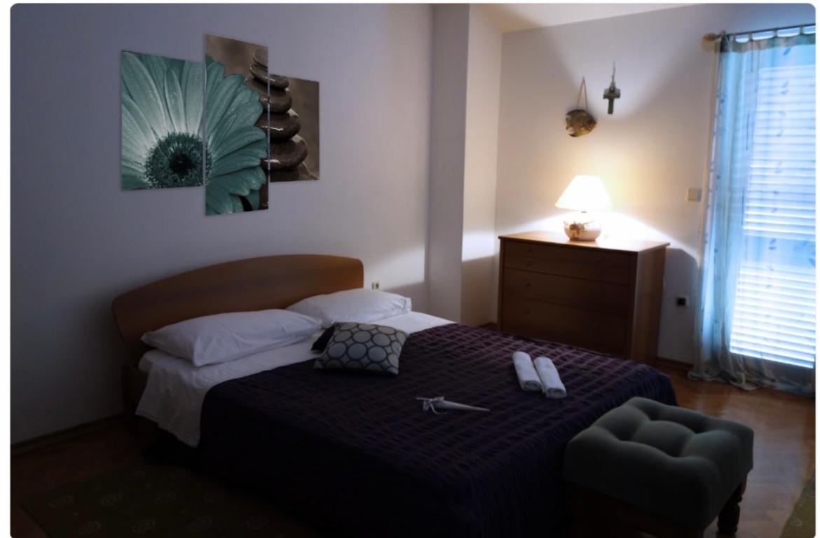 Leone Apartments With Free Parking Pula Zewnętrze zdjęcie